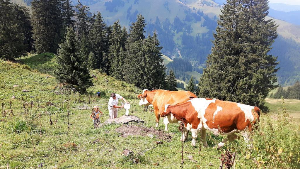 Bio-Bauernhof Hatzbauer Maria Alm am Steinernen Meer Esterno foto