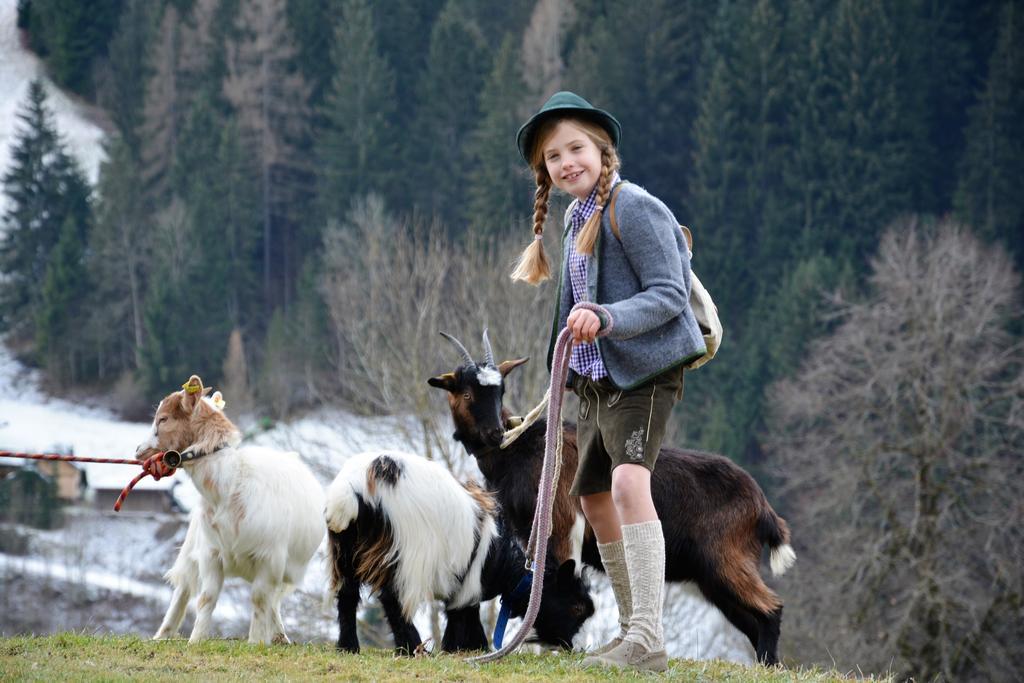 Bio-Bauernhof Hatzbauer Maria Alm am Steinernen Meer Esterno foto
