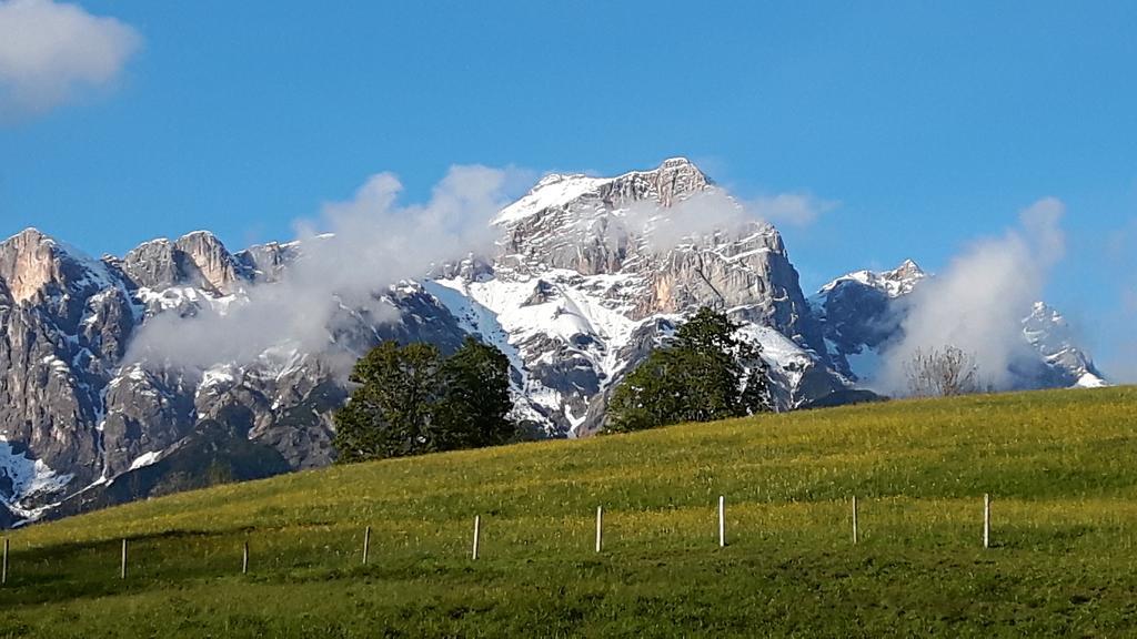 Bio-Bauernhof Hatzbauer Maria Alm am Steinernen Meer Esterno foto