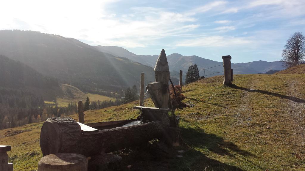 Bio-Bauernhof Hatzbauer Maria Alm am Steinernen Meer Esterno foto