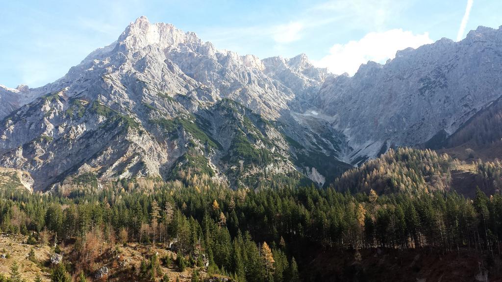 Bio-Bauernhof Hatzbauer Maria Alm am Steinernen Meer Esterno foto